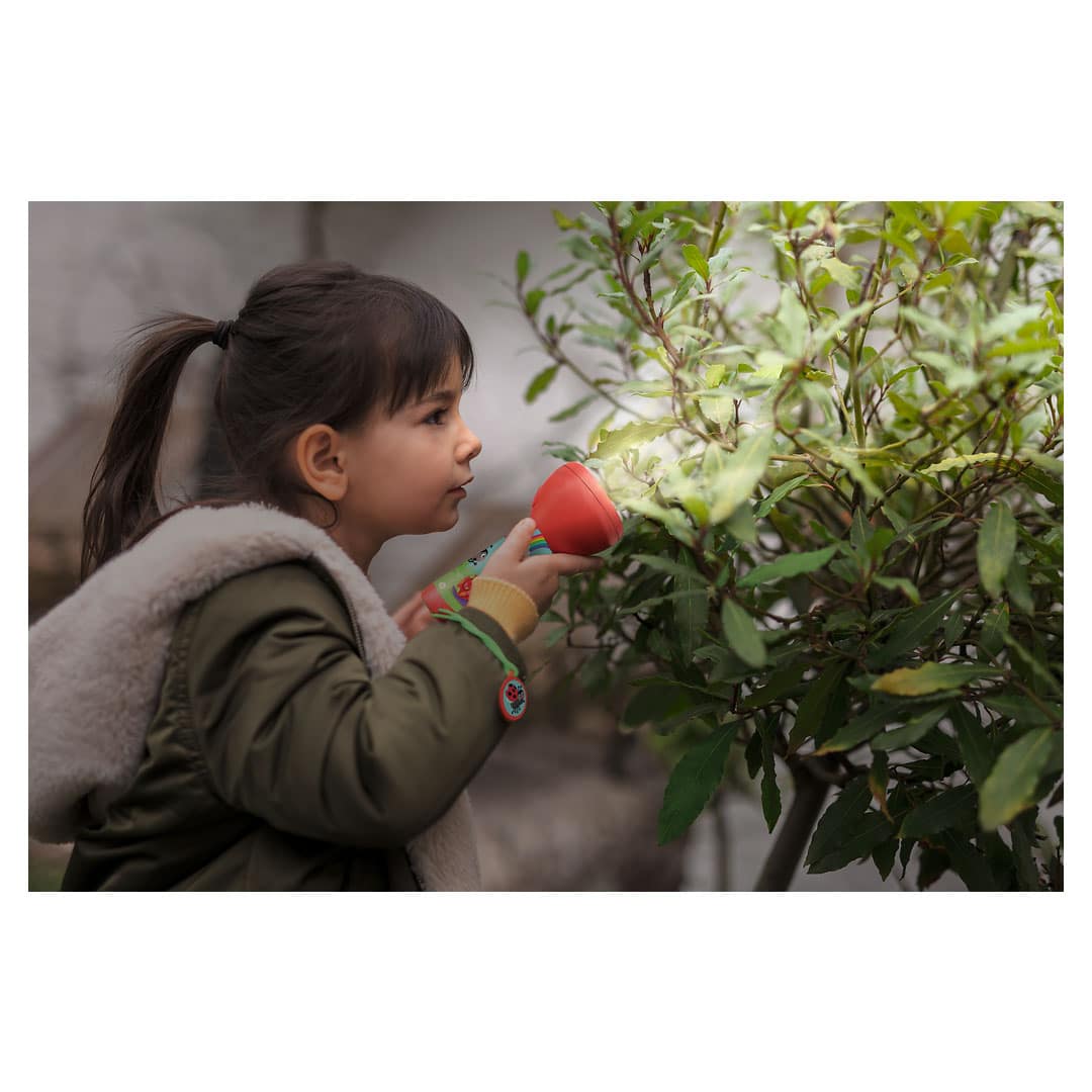 Moses Kinder-Taschenlampe Krabbelkäfer – Bild 3