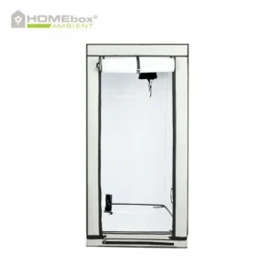 Homebox Ambient Q80, 80x80x160cm