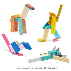 14 Tegu magnetische Holzbausteine im Set