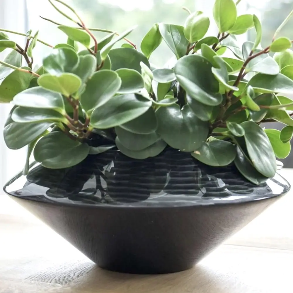 Dekoschale ANNICA Hochglanz schwarz-silber ø 42 cm