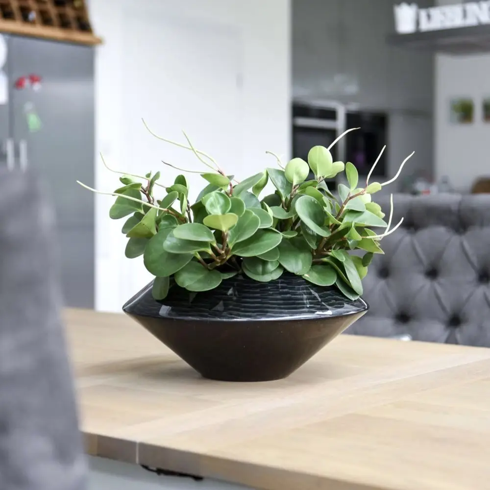 Dekoschale ANNICA Hochglanz schwarz-silber ø 42 cm – Bild 2