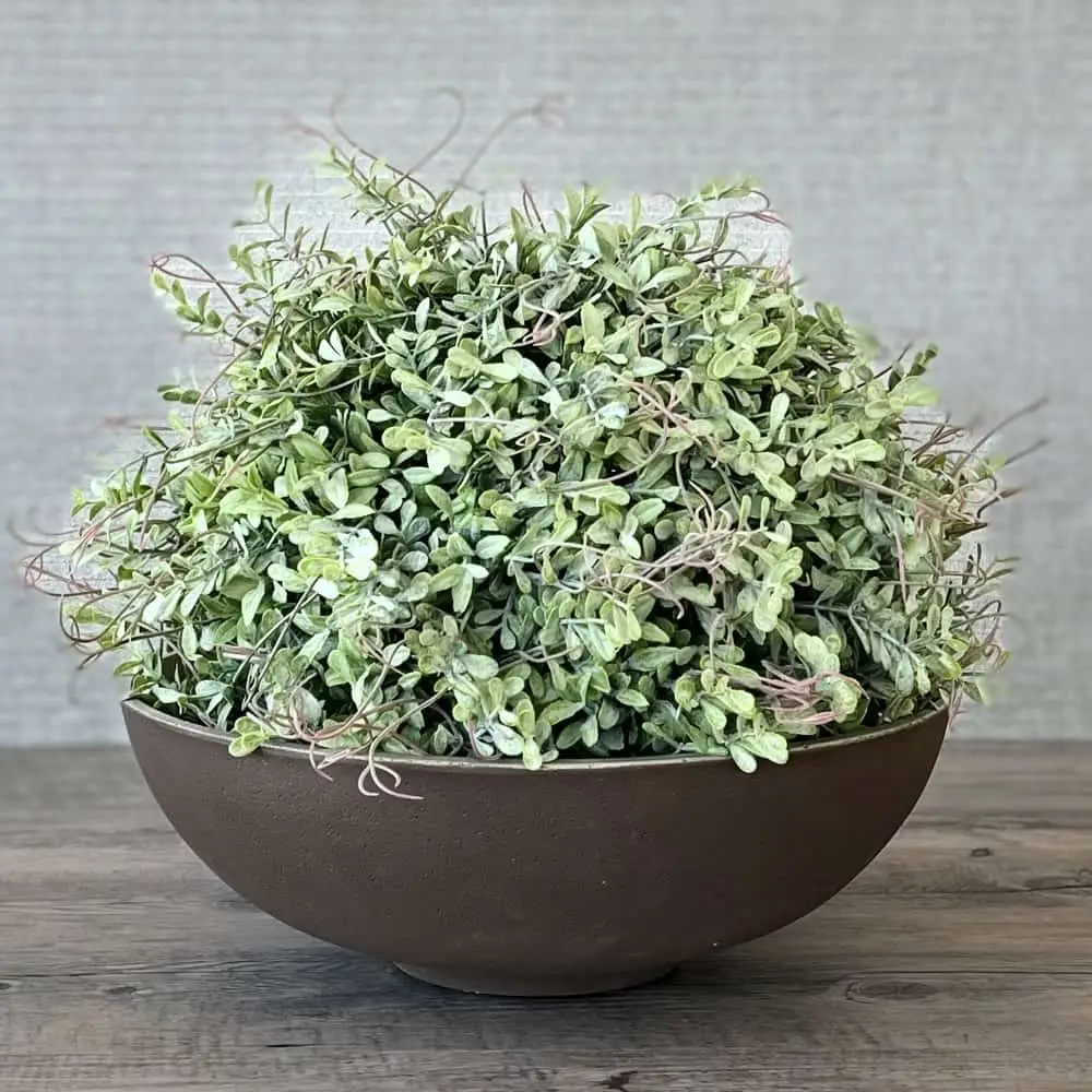 Dekoschale rund MANOU braun champagner Durchmesser 32 cm – Bild 3