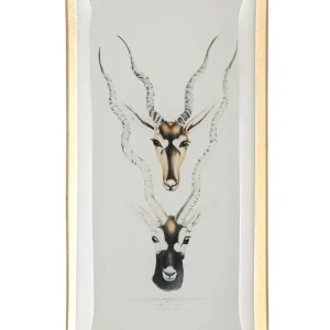Schmuckschale aus Glas ANTILOPENKÖPFE GiftCompany 10×21 cm
