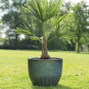 Keramik Blumentopf ocean DYON 3er Set