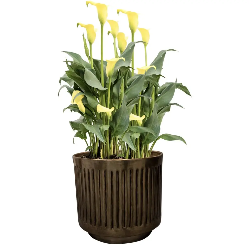 Metall Pflanzkübel XXL outdoor 4er Set ELNA gold – Bild 5