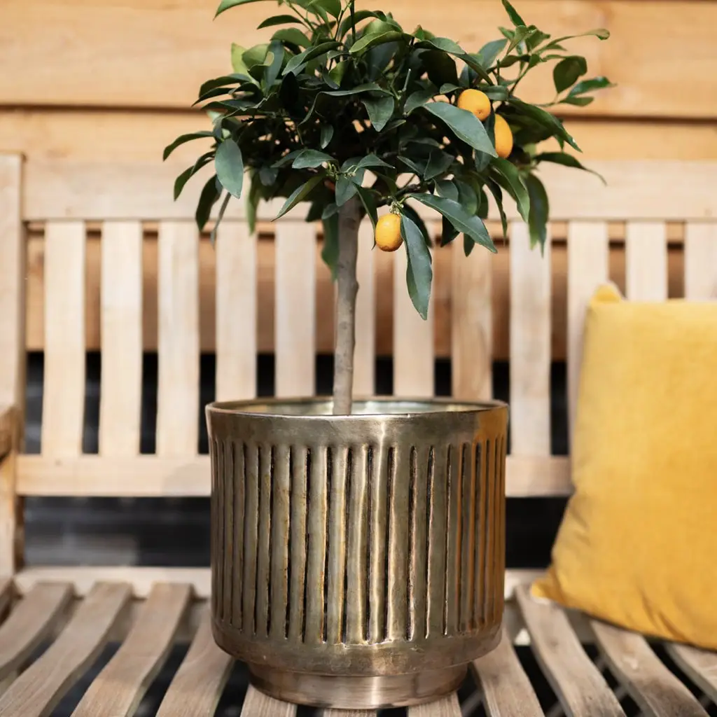 Metall Pflanzkübel XXL outdoor 4er Set ELNA gold – Bild 2